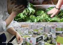 금천구, 안양천 횡단보도교 신설 설계 착수 - 아시아경제 금천구, 안양천 횡단보도교 신설 설계 착수  - 아시아경제