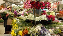 Mothers Day guide for hapless husbands: Gifts you should not buy your wife | IBTimes UK Mothers Day guide for hapless husbands... 