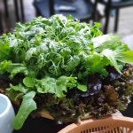 평창약수송어장 - 이천 송어회 맛집 - 다이닝코드