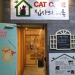집사의하루 강남점 - 강남역 고양이카페, 카페 맛집 - 다이닝코드