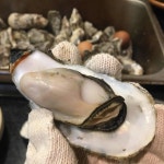 여수굴집 상동점 - 부천 굴찜, 굴보쌈 맛집 - 다이닝코드