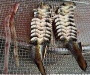 풍천장어 - 청주 장어, 풍천장어 맛집 - 다이닝코드