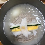 장원막국수 본점 - 홍천 막국수, 순메밀 맛집 - 다이닝코드