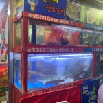 윤가네산오징어 - 덕천 횟집, 오징어회 맛집 - 다이닝코드