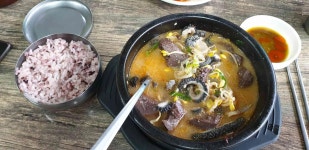 양평단월해장국 - 양평 해장국, 소머리국밥 맛집 - 다이닝코드