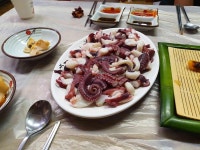 월용회식당 - 울진 횟집, 수산물 맛집 - 다이닝코드