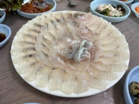 어민후계자횟집 - 양양 횟집, 어죽 맛집 - 다이닝코드