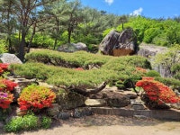 금바우가든 - 속리산 백숙, 토종닭 맛집 - 다이닝코드