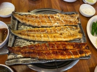 고향풍천장어 성내점 - 강동구청역 장어, 풍천장어 맛집 - 다이닝코드
