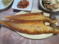 하제고향횟집 - 군산 도미사시미, 횟집 맛집 - 다이닝코드