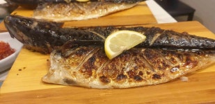 고동치 - 여의도 전복삼합, 해물구이 맛집 - 다이닝코드