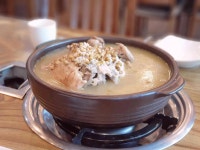 황금가든 - 행주산성 오리백숙, 백숙 맛집 - 다이닝코드