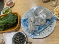 금강회수산 - 신대방 광어, 횟집 맛집 - 다이닝코드