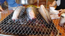 숲속장어촌 - 경기광주 장어, 민물장어 맛집 - 다이닝코드