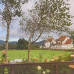 타샤의언덕 - 평창 카페, 커피 맛집 - 다이닝코드