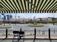 아름드레 - 울산중구 카페, 허브차 맛집 - 다이닝코드