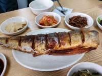 보성장 - 청량리 집밥, 오징어 맛집 - 다이닝코드