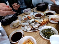 보성장 - 청량리 집밥, 오징어 맛집 - 다이닝코드