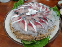 백록횟집 - 성산읍 갈치, 갈치조림 맛집 - 다이닝코드