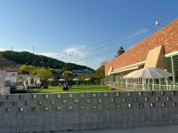 아로하스토리 - 용인 애견카페 맛집 - 다이닝코드