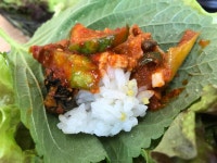 내포우렁쌈밥 - 내포 쌈밥, 우렁쌈밥 맛집 - 다이닝코드