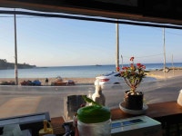 오도털보명인물회 - 포항 물회, 매운탕 맛집 - 다이닝코드