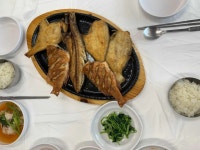 산호식당 - 고성 물곰탕, 생선구이 맛집 - 다이닝코드