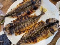 속초그바람에 발산본점 - 발산역 생선구이, 명태조림 맛집 - 다이닝코드