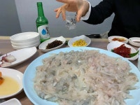 신승리회식당 - 포항죽도시장 횟집, 물회 맛집 - 다이닝코드