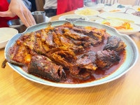 속초명가 본점 - 발산역 명태조림, 가오리찜 맛집 - 다이닝코드