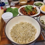 아그집쭈꾸미 - 봉담 쭈꾸미, 쭈꾸미볶음 맛집 - 다이닝코드