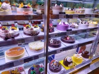 파리바게뜨 세종해피라움점 - 세종 빵, 초코케이크 맛집 - 다이닝코드