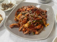 훈이네무안낙지 | 숙이네 - 무안 낙지, 낙지초무침 맛집 - 다이닝코드