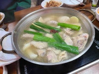 본가닭탕 - 역곡 닭한마리, 닭탕 맛집 - 다이닝코드