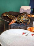 애나의정원분당 - 분당 랍스터, 철판요리 맛집 - 다이닝코드
