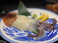 이카 - 해운대 이자카야, 오징어회 맛집 - 다이닝코드