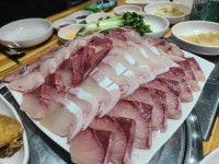 99종합어시장 - 목동사거리 소라무침, 횟집 맛집 - 다이닝코드