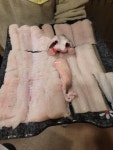 남해옥 - 부천 장어, 꼼장어 맛집 - 다이닝코드