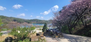 구름나그네 - 세종 백숙, 능이백숙 맛집 - 다이닝코드