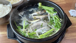 부일식당 - 통영 복어, 복국 맛집 - 다이닝코드