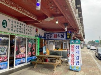정인회식당 - 양양 물회, 물곰탕 맛집 - 다이닝코드