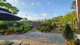 이디야 춘천소양강점 - 춘천 커피, 카페 맛집 - 다이닝코드