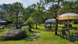 파인트리하우스 - 인천계양 카페, 커피 맛집 - 다이닝코드