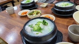 한성삼계탕 - 영등포구청 삼계탕, 인삼주 맛집 - 다이닝코드