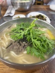 본가칼국수 - 대전중구 두부두루치기, 칼국수 맛집 - 다이닝코드