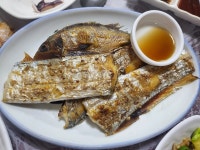 물보라다찌 - 통영 횟집, 다찌 맛집 - 다이닝코드