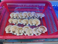 평택조개구이무한리필 - 평택 조개구이, 조개요리 맛집 - 다이닝코드