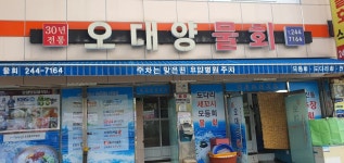 오대양물회식당 - 포항 물회, 도다리물회 맛집 - 다이닝코드