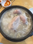지호한방삼계탕 - 역삼 삼계탕, 인삼주 맛집 - 다이닝코드