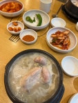 지호한방삼계탕 - 역삼 삼계탕, 인삼주 맛집 - 다이닝코드